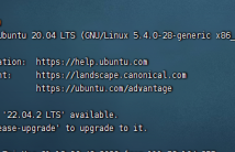 Ubuntu/Debian安装docker以及docker compose的方法